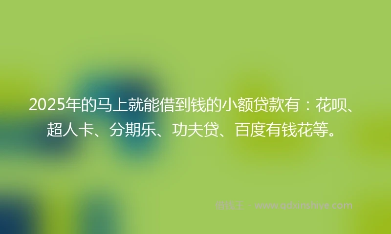 2025年的马上就能借到钱的小额贷款有：花呗、超人卡、分期乐、功夫贷、百度有钱花等。