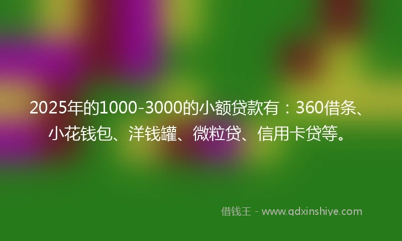 2025年的1000-3000的小额贷款有：360借条、小花钱包、洋钱罐、微粒贷、信用卡贷等。