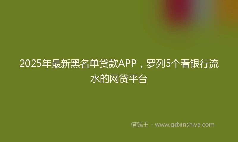 2025年最新黑名单贷款APP，罗列5个看银行流水的网贷平台