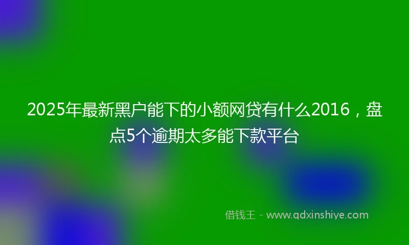 2025年最新黑户能下的小额网贷有什么2016，盘点5个逾期太多能下款平台