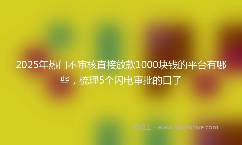 2025年热门不审核直接放款1000块钱的平台有哪些，梳理5个闪电审批的口子