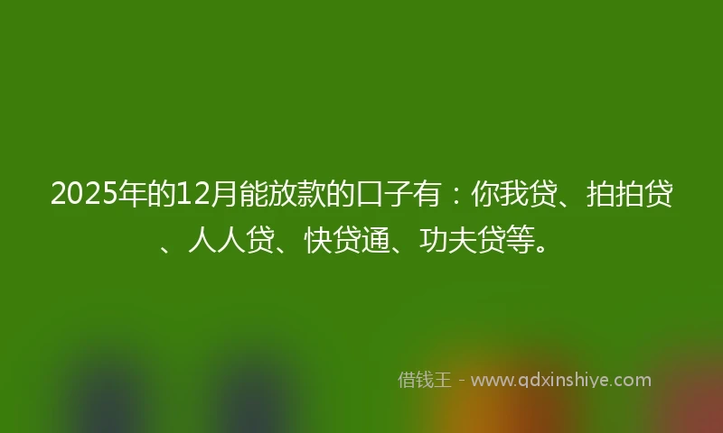 2025年的12月能放款的口子有：你我贷、拍拍贷、人人贷、快贷通、功夫贷等。