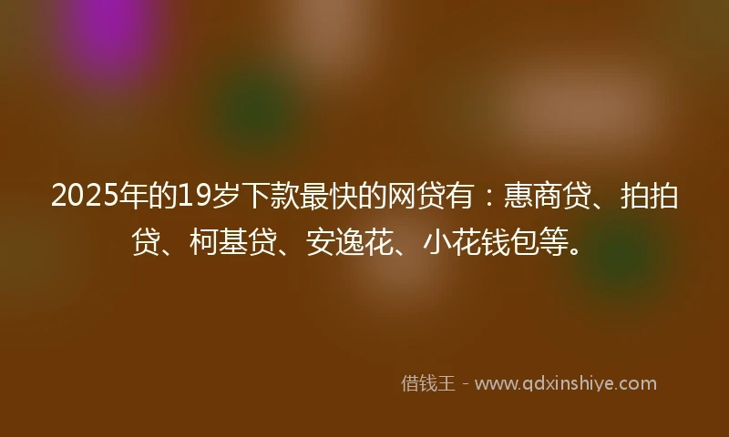 2025年的19岁下款最快的网贷有：惠商贷、拍拍贷、柯基贷、安逸花、小花钱包等。