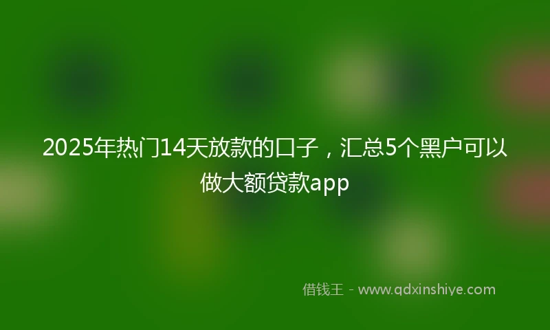 2025年热门14天放款的口子，汇总5个黑户可以做大额贷款app