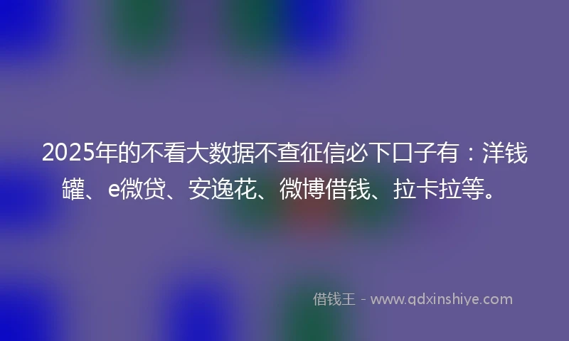 2025年的不看大数据不查征信必下口子有：洋钱罐、e微贷、安逸花、微博借钱、拉卡拉等。