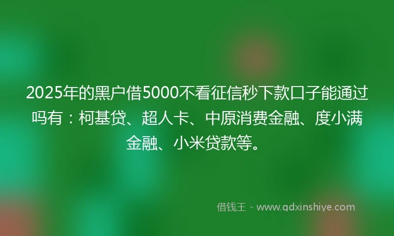 2025年的黑户借5000不看征信秒下款口子能通过吗有：柯基贷、超人卡、中原消费金融、度小满金融、小米贷款等。