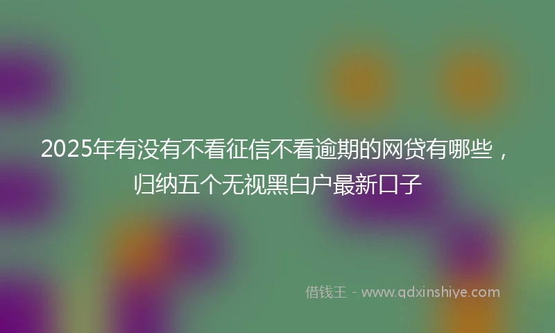 2025年有没有不看征信不看逾期的网贷有哪些，归纳五个无视黑白户最新口子