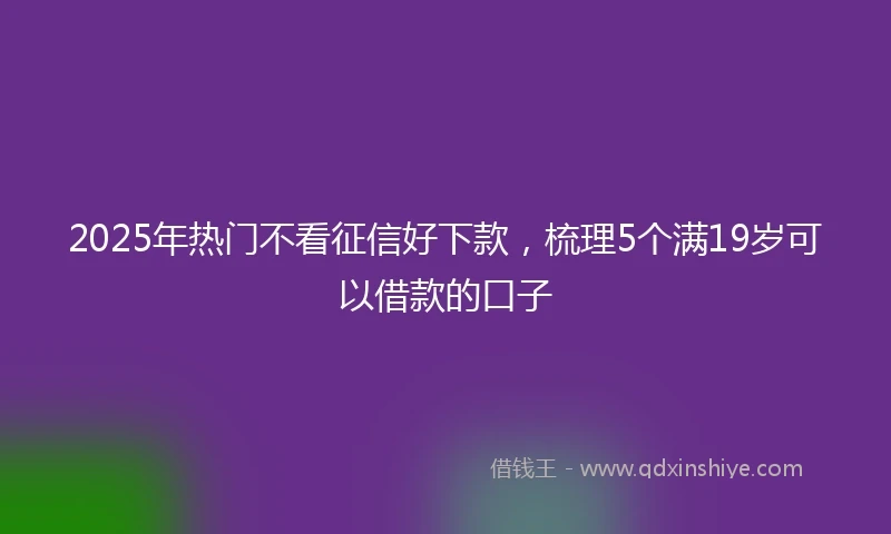 2025年热门不看征信好下款，梳理5个满19岁可以借款的口子