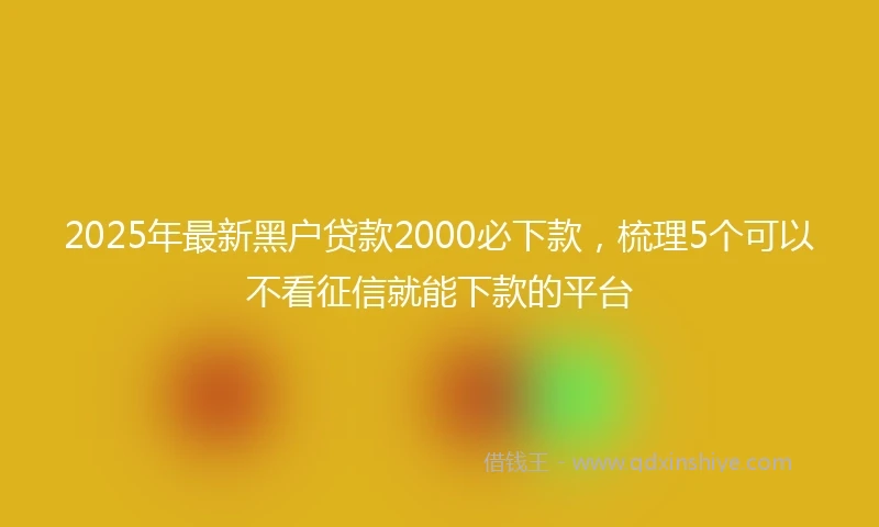 2025年最新黑户贷款2000必下款，梳理5个可以不看征信就能下款的平台