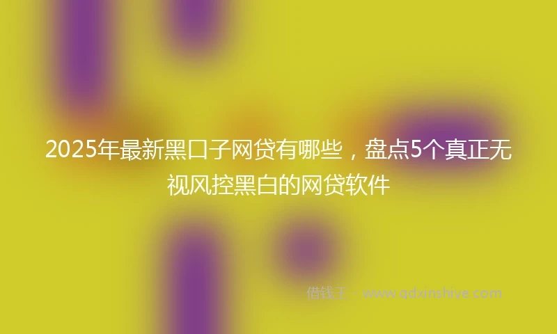2025年最新黑口子网贷有哪些，盘点5个真正无视风控黑白的网贷软件