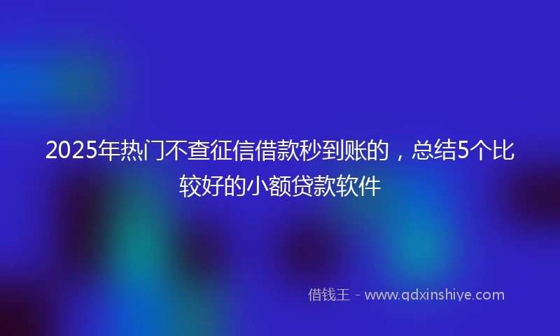 2025年热门不查征信借款秒到账的，总结5个比较好的小额贷款软件