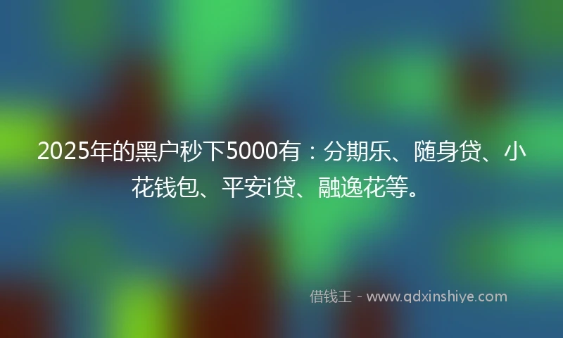 2025年的黑户秒下5000有：分期乐、随身贷、小花钱包、平安i贷、融逸花等。