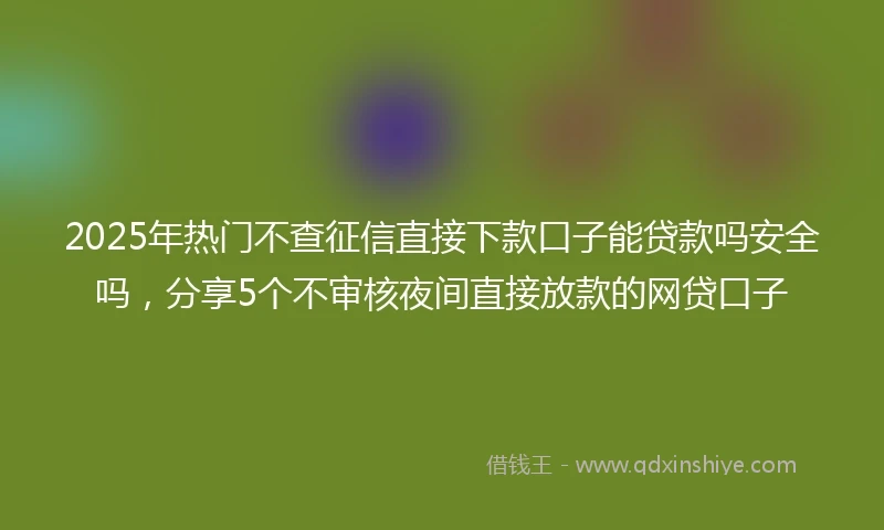 2025年热门不查征信直接下款口子能贷款吗安全吗，分享5个不审核夜间直接放款的网贷口子