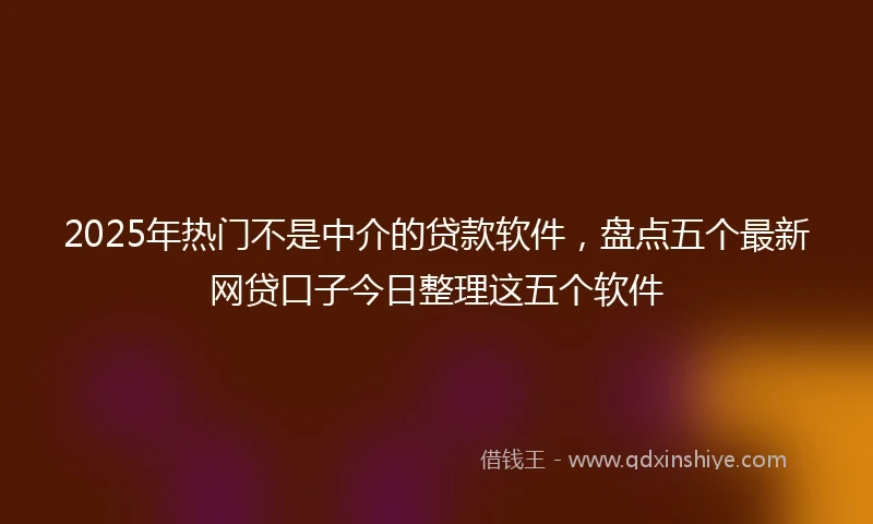 2025年热门不是中介的贷款软件，盘点五个最新网贷口子今日整理这五个软件