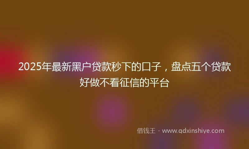 2025年最新黑户贷款秒下的口子，盘点五个贷款好做不看征信的平台
