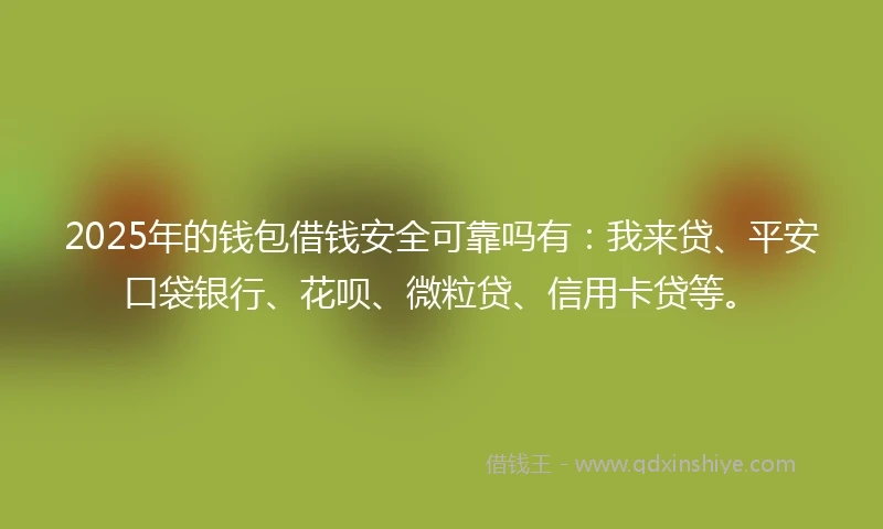 2025年的钱包借钱安全可靠吗有：我来贷、平安口袋银行、花呗、微粒贷、信用卡贷等。