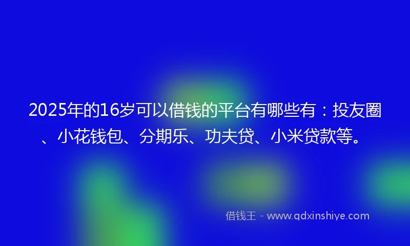 2025年的16岁可以借钱的平台有哪些有：投友圈、小花钱包、分期乐、功夫贷、小米贷款等。