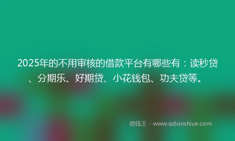 2025年的不用审核的借款平台有哪些有：读秒贷、分期乐、好期贷、小花钱包、功夫贷等。