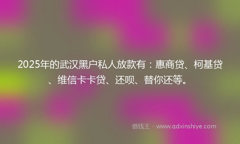 2025年的武汉黑户私人放款有：惠商贷、柯基贷、维信卡卡贷、还呗、替你还等。