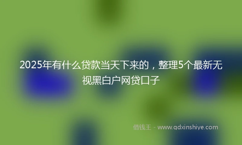 2025年有什么贷款当天下来的，整理5个最新无视黑白户网贷口子
