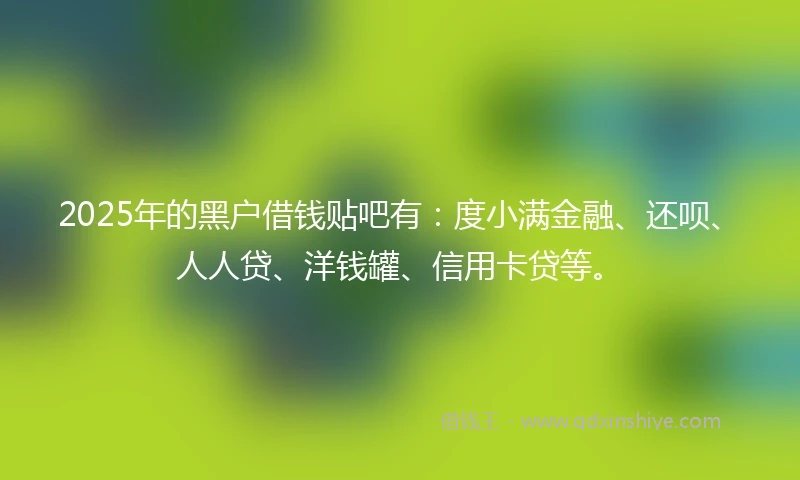 2025年的黑户借钱贴吧有：度小满金融、还呗、人人贷、洋钱罐、信用卡贷等。