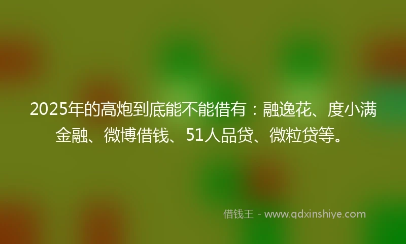 2025年的高炮到底能不能借有：融逸花、度小满金融、微博借钱、51人品贷、微粒贷等。