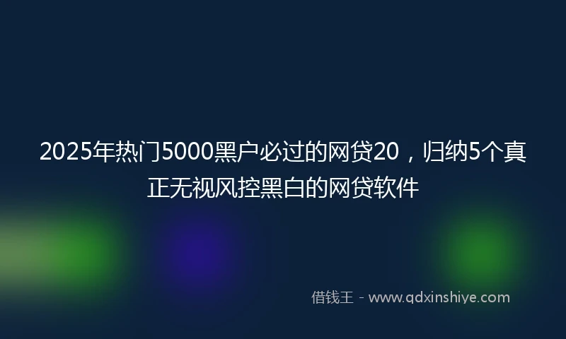 2025年热门5000黑户必过的网贷20，归纳5个真正无视风控黑白的网贷软件
