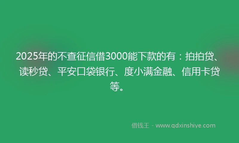 2025年的不查征信借3000能下款的有：拍拍贷、读秒贷、平安口袋银行、度小满金融、信用卡贷等。