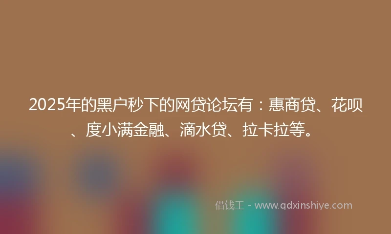 2025年的黑户秒下的网贷论坛有：惠商贷、花呗、度小满金融、滴水贷、拉卡拉等。