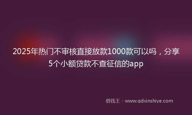 2025年热门不审核直接放款1000款可以吗，分享5个小额贷款不查征信的app