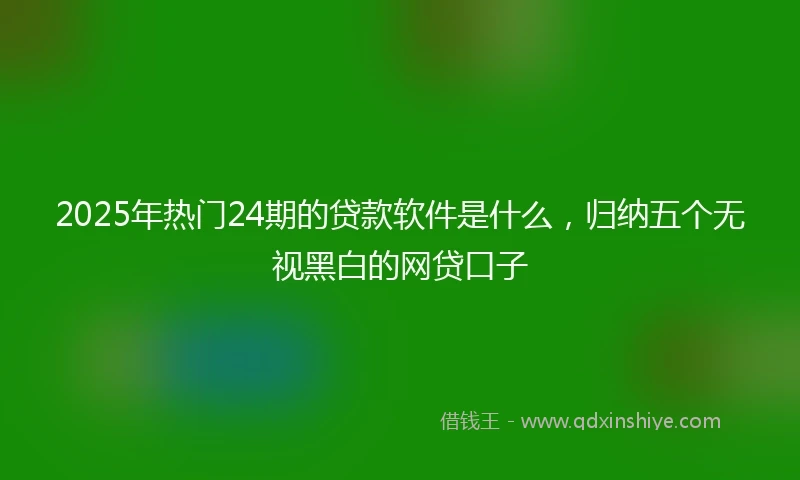 2025年热门24期的贷款软件是什么,归纳五个无视黑白的网贷口子