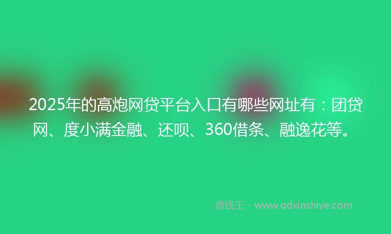 2025年的高炮网贷平台入口有哪些网址有：团贷网、度小满金融、还呗、360借条、融逸花等。