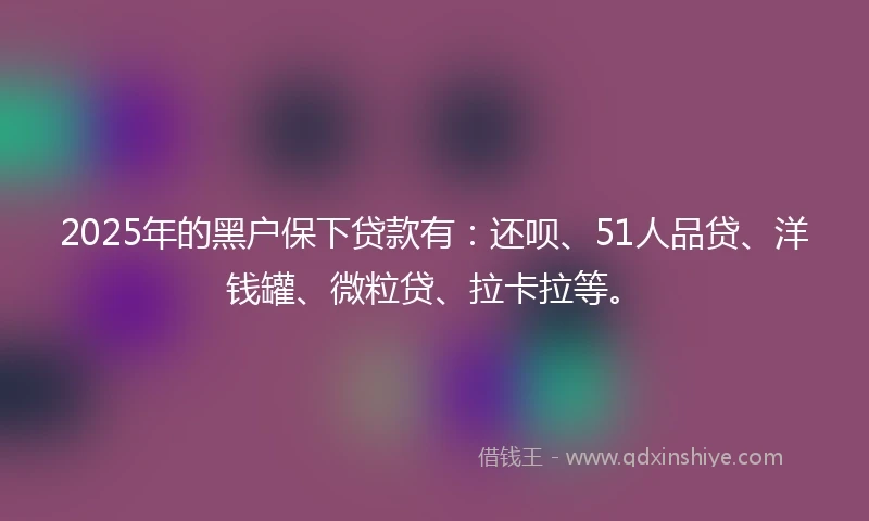 2025年的黑户保下贷款有：还呗、51人品贷、洋钱罐、微粒贷、拉卡拉等。