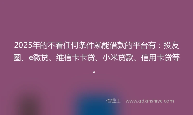 2025年的不看任何条件就能借款的平台有：投友圈、e微贷、维信卡卡贷、小米贷款、信用卡贷等。