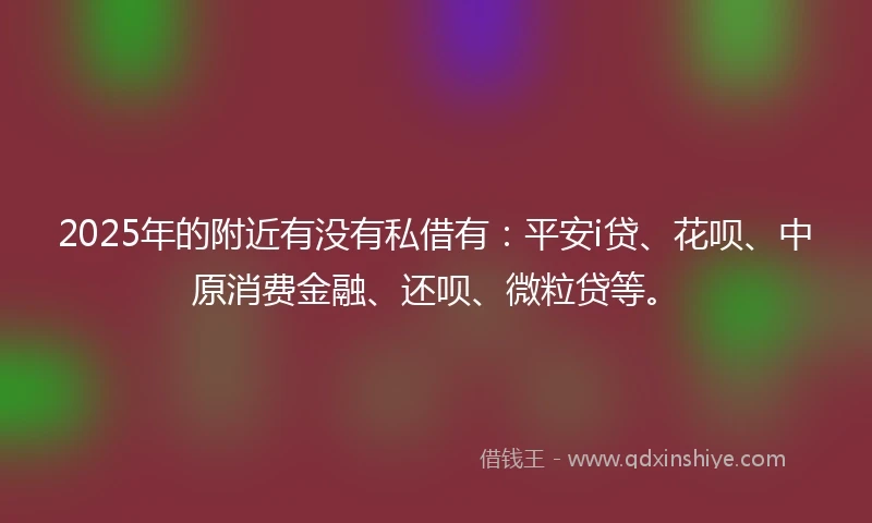 2025年的附近有没有私借有：平安i贷、花呗、中原消费金融、还呗、微粒贷等。