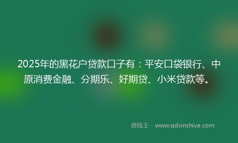 2025年的黑花户贷款口子有：平安口袋银行、中原消费金融、分期乐、好期贷、小米贷款等。