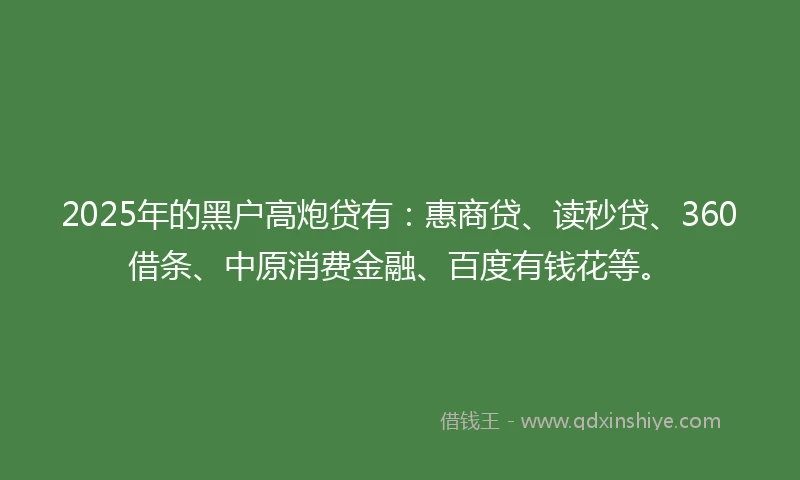 2025年的黑户高炮贷有：惠商贷、读秒贷、360借条、中原消费金融、百度有钱花等。