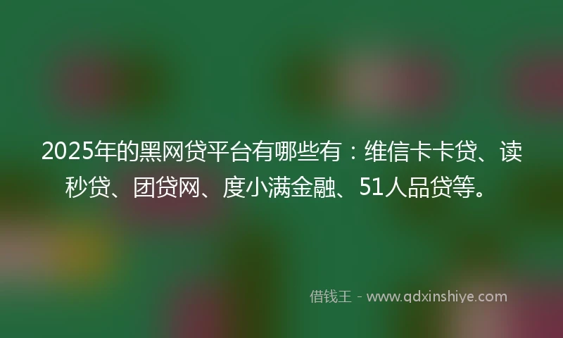 2025年的黑网贷平台有哪些有：维信卡卡贷、读秒贷、团贷网、度小满金融、51人品贷等。