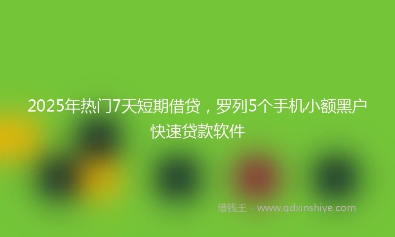 2025年热门7天短期借贷，罗列5个手机小额黑户快速贷款软件