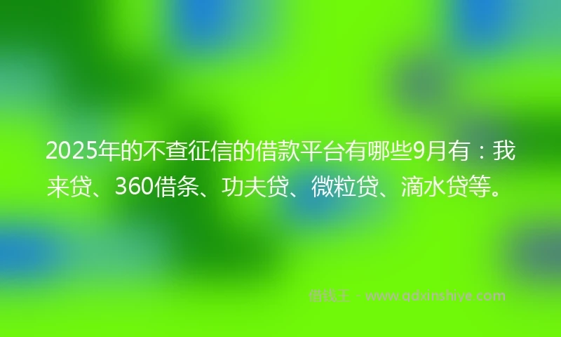 2025年的不查征信的借款平台有哪些9月有：我来贷、360借条、功夫贷、微粒贷、滴水贷等。