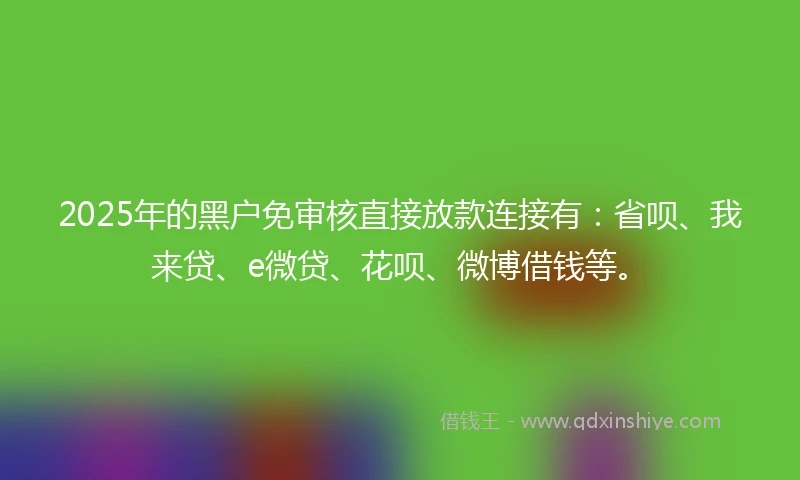 2025年的黑户免审核直接放款连接有：省呗、我来贷、e微贷、花呗、微博借钱等。