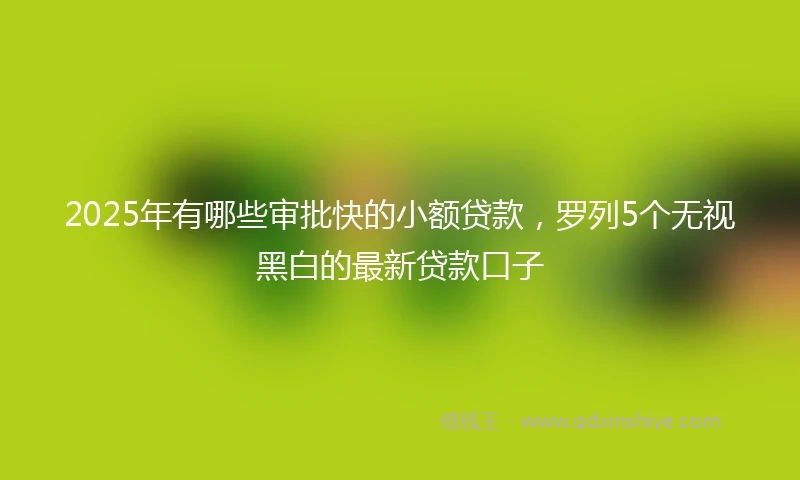 2025年有哪些审批快的小额贷款，罗列5个无视黑白的最新贷款口子