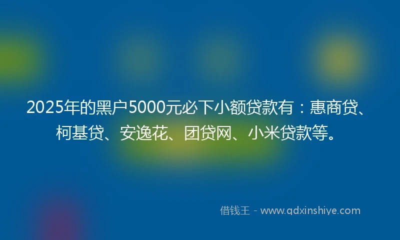 2025年的黑户5000元必下小额贷款有：惠商贷、柯基贷、安逸花、团贷网、小米贷款等。