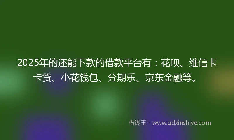 2025年的还能下款的借款平台有：花呗、维信卡卡贷、小花钱包、分期乐、京东金融等。