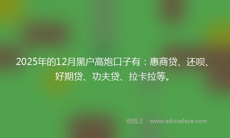 2025年的12月黑户高炮口子有：惠商贷、还呗、好期贷、功夫贷、拉卡拉等。