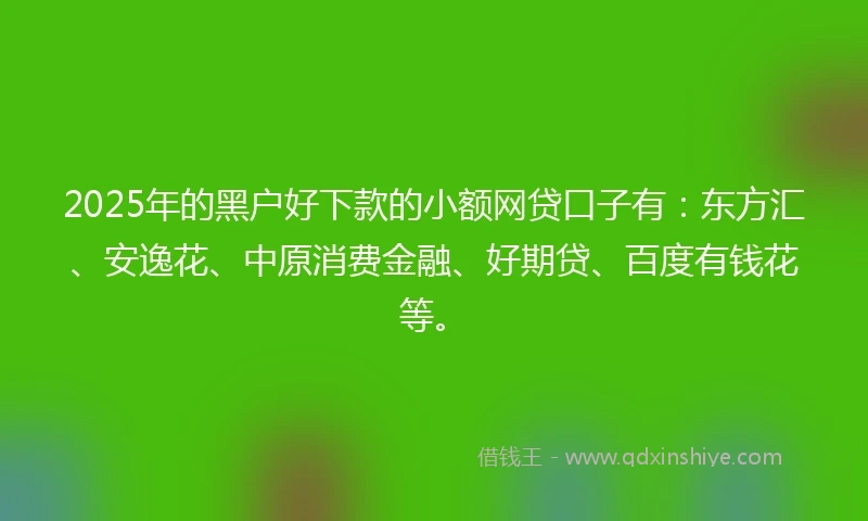 2025年的黑户好下款的小额网贷口子有：东方汇、安逸花、中原消费金融、好期贷、百度有钱花等。