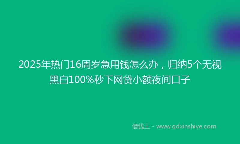 2025年热门16周岁急用钱怎么办，归纳5个无视黑白100%秒下网贷小额夜间口子