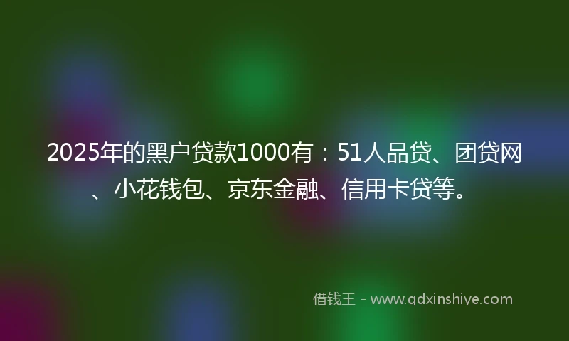 2025年的黑户贷款1000有：51人品贷、团贷网、小花钱包、京东金融、信用卡贷等。