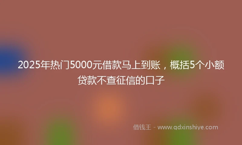 2025年热门5000元借款马上到账，概括5个小额贷款不查征信的口子