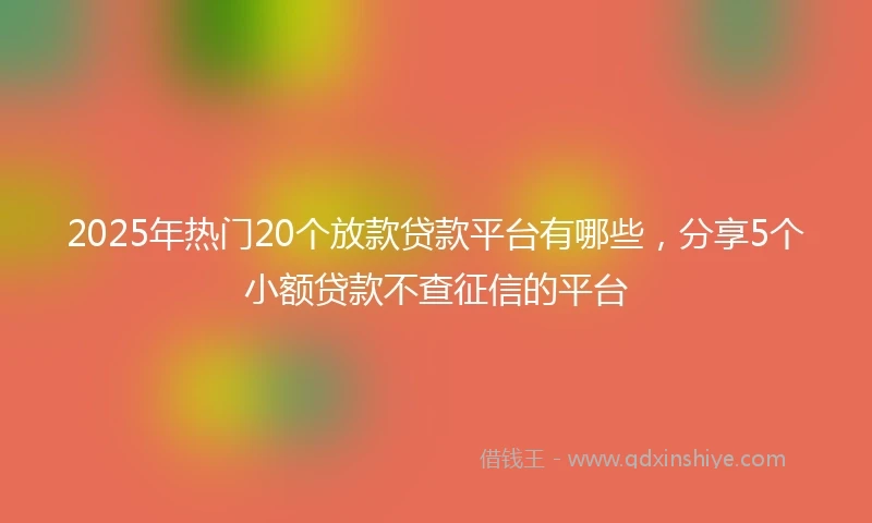 2025年热门20个放款贷款平台有哪些，分享5个小额贷款不查征信的平台